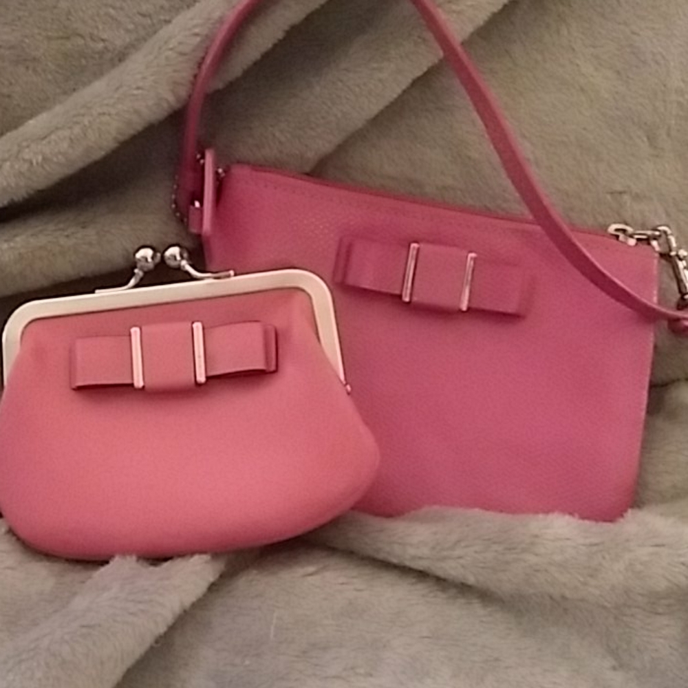 Coach Darcy kisslock and wristlet
